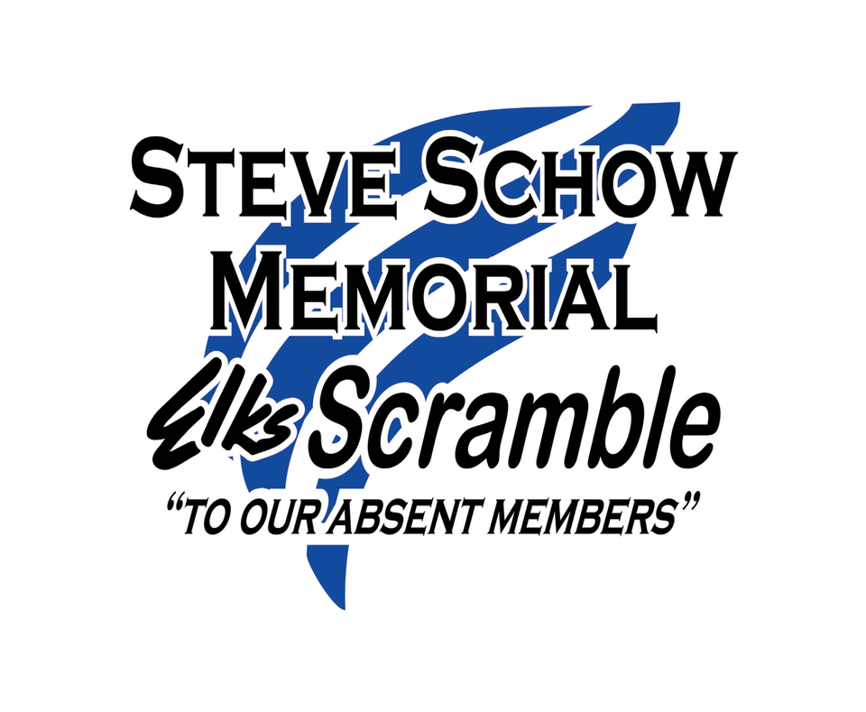 Steve schow logo smaller