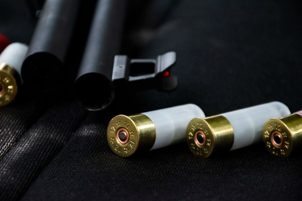 Twelve gauge shotgun shells laid beside a shotgun barrel on a dark surface