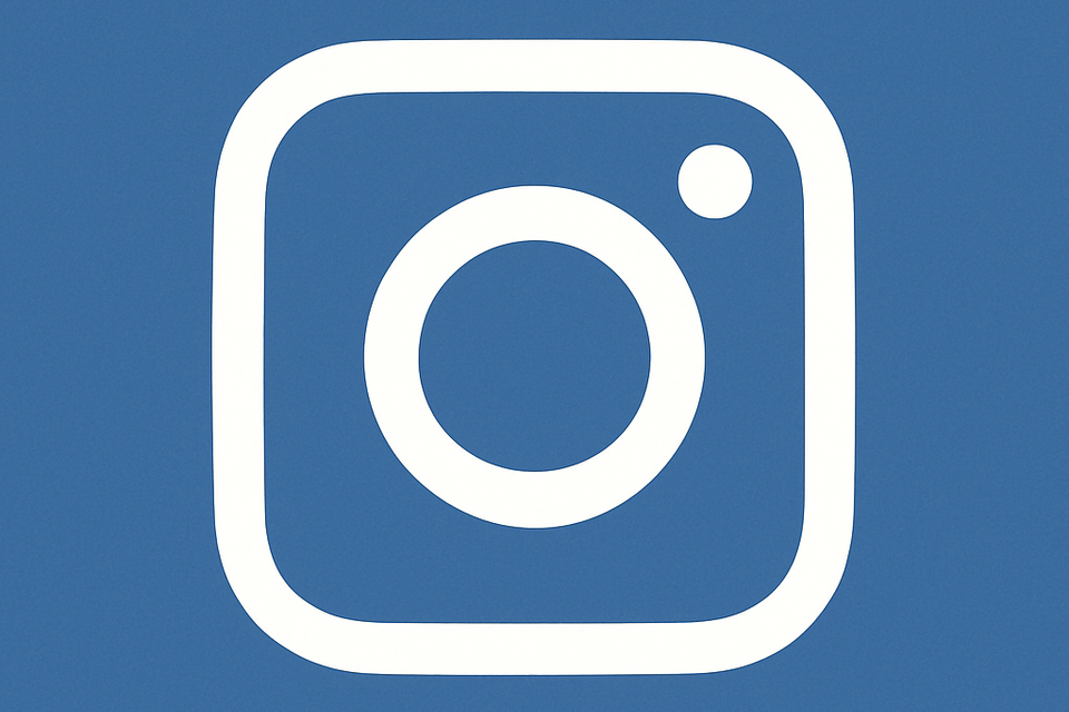 Nsbf   instagram icon