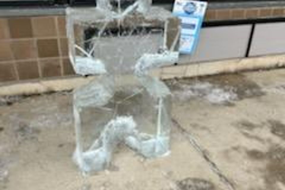 Ice carving 2025 48