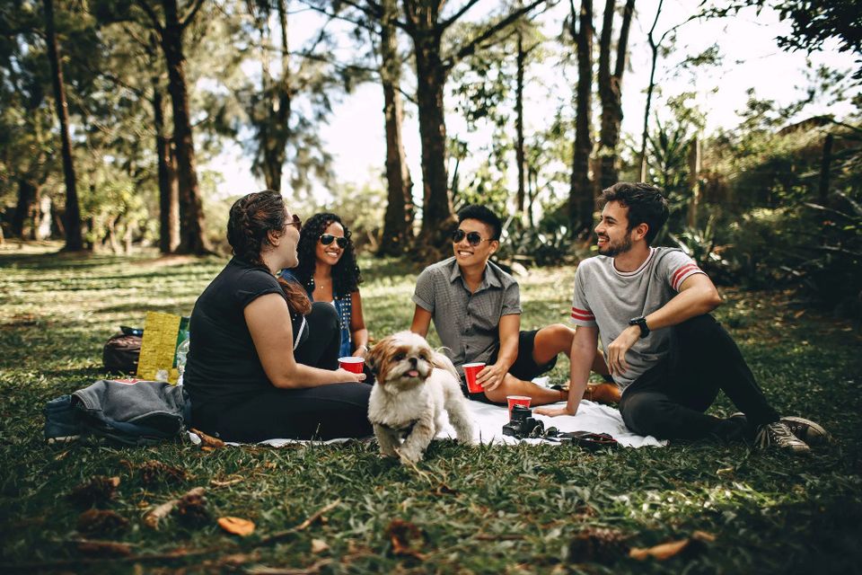 Group of Friends on picnic Image
