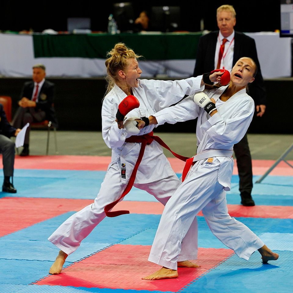 International Martial Arts