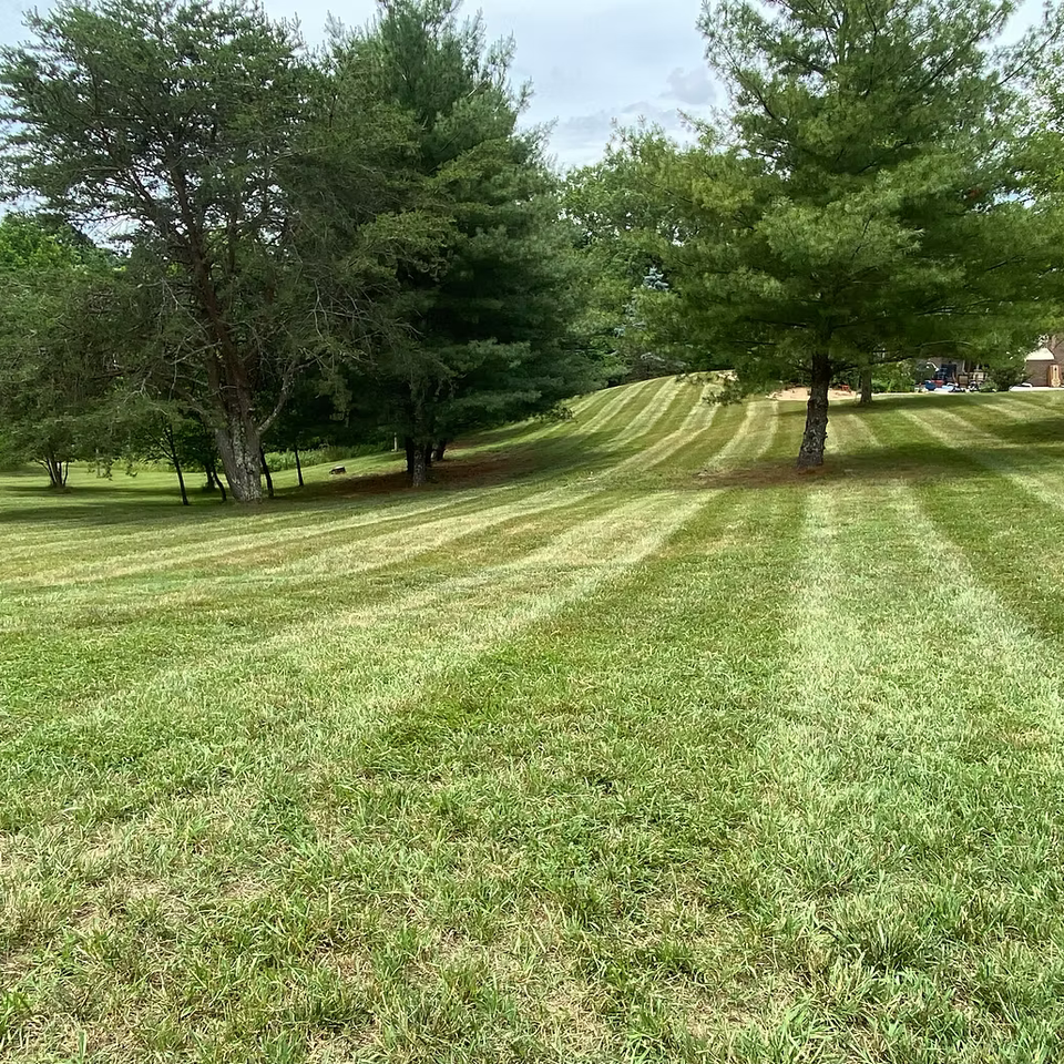 Mowing landscaping johnson city52