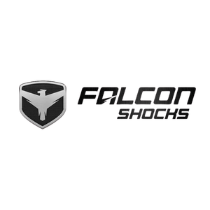 Falcon shocks
