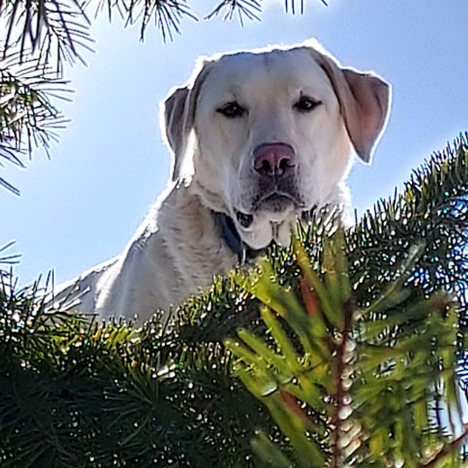 20230225 134801 woody 2