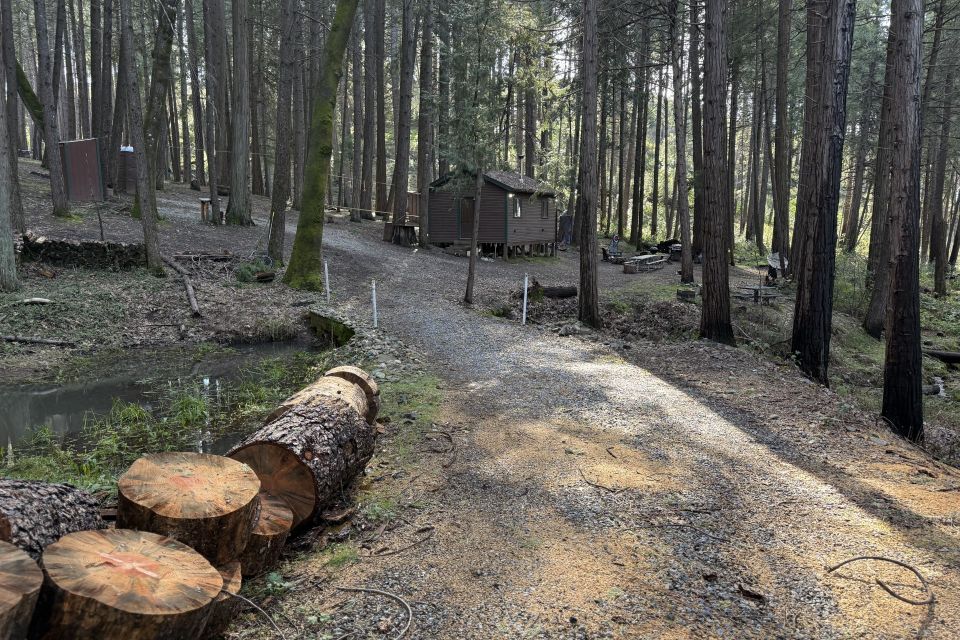 Cabin driveway