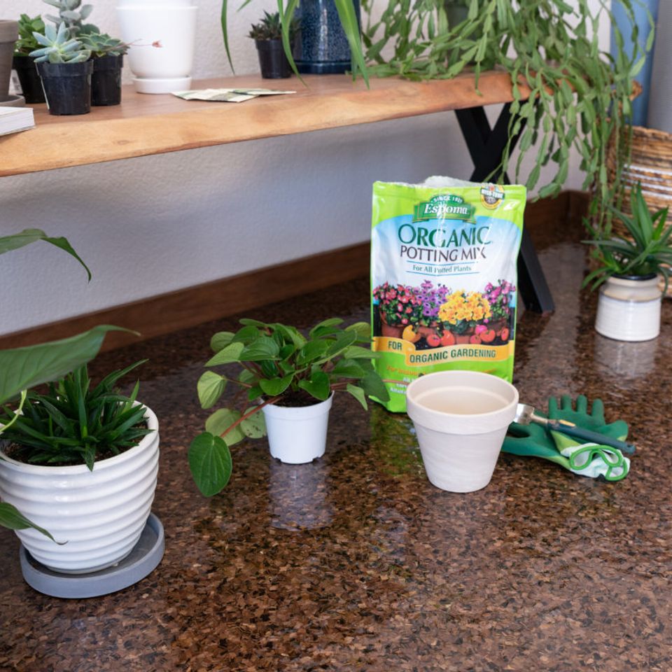 Plant shop featuring EverStone Flakes flooring.