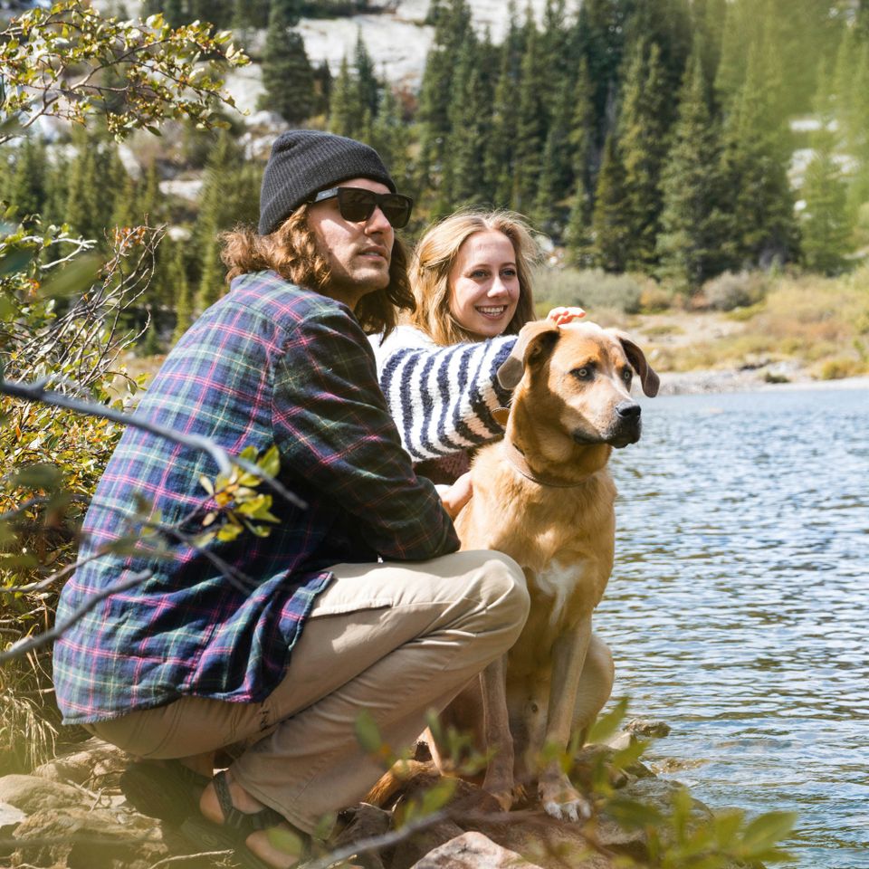 Rapid  resolution  therapy