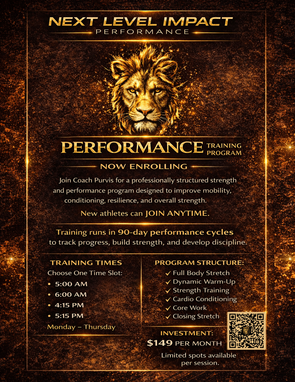 Nlimpact lion flyer