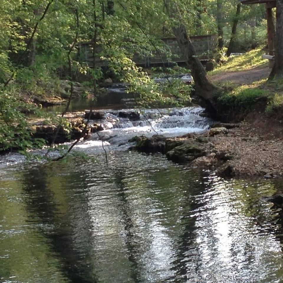 Taylor creek