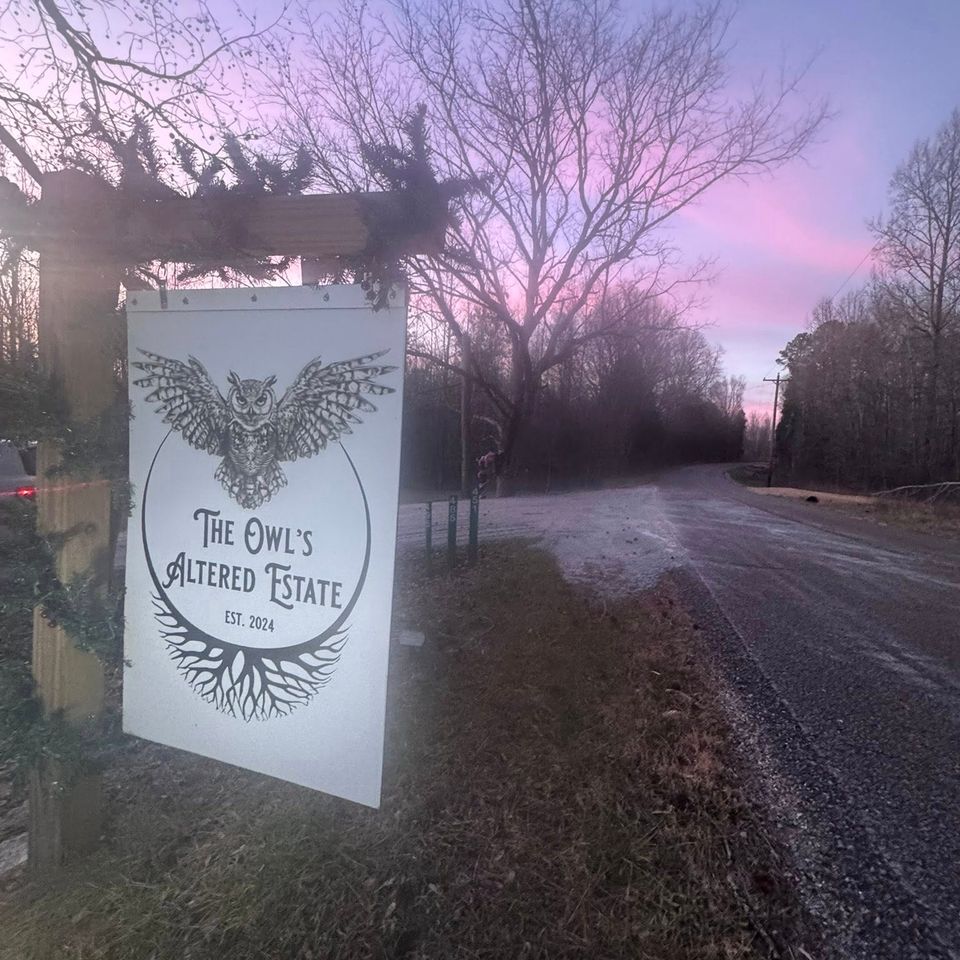 615291885 26363369006597245 8250339828682222769 n