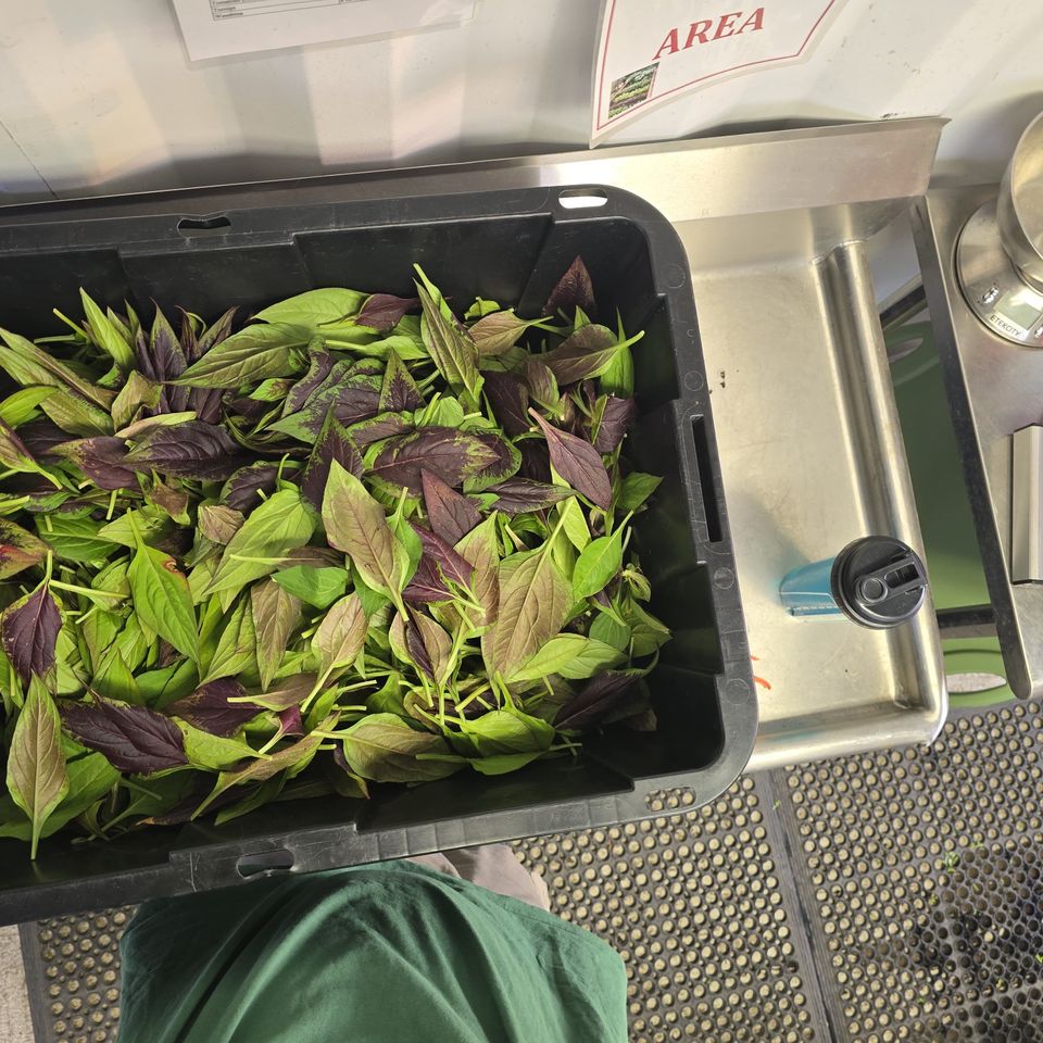 B27e45ec a0da 48d7 bdf4 c8918cec0e17