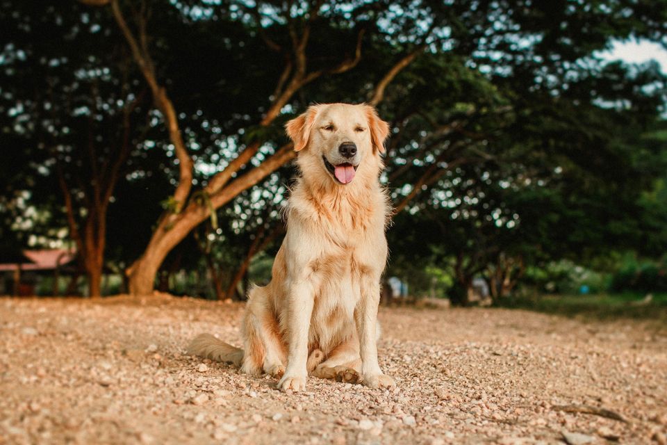 Helena lopes wnrutxmyr8w unsplash