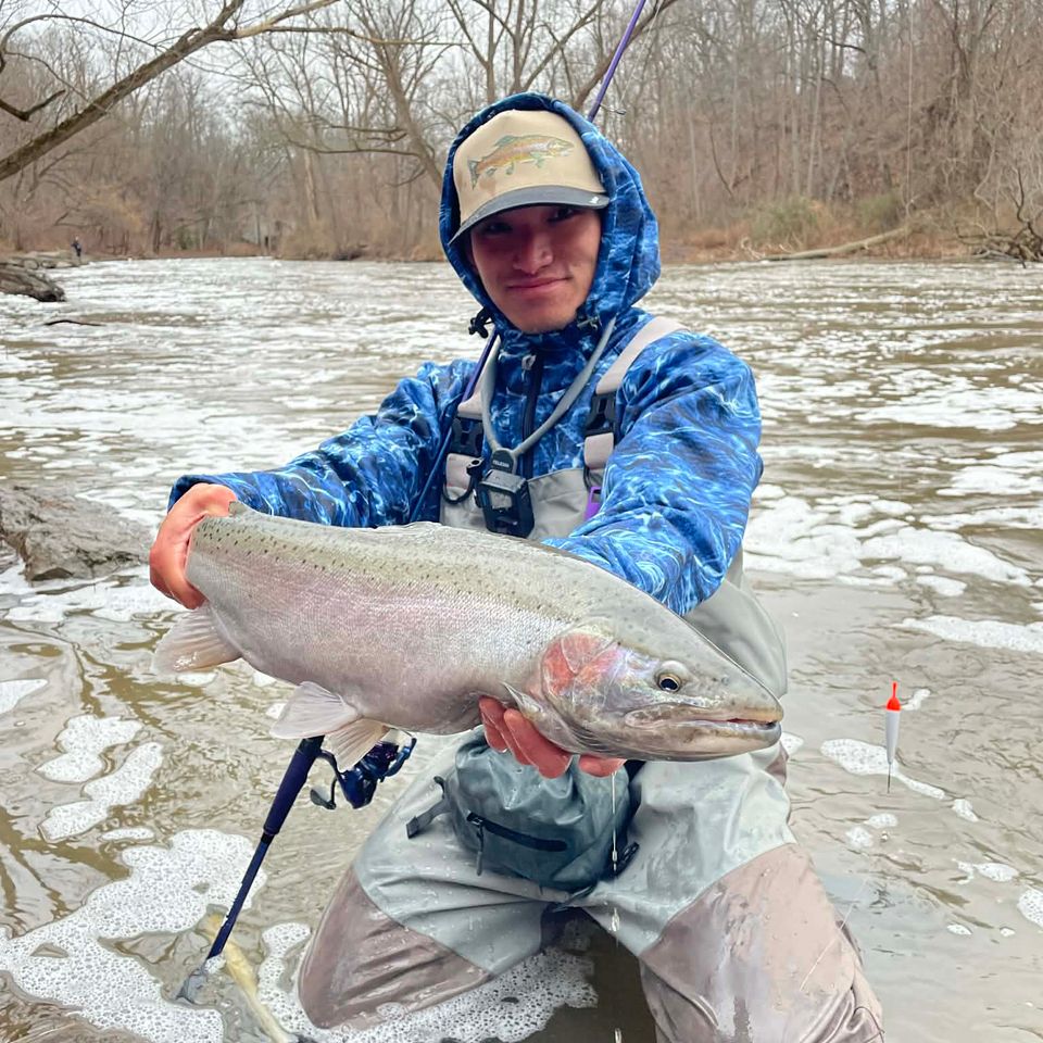 Steelhead