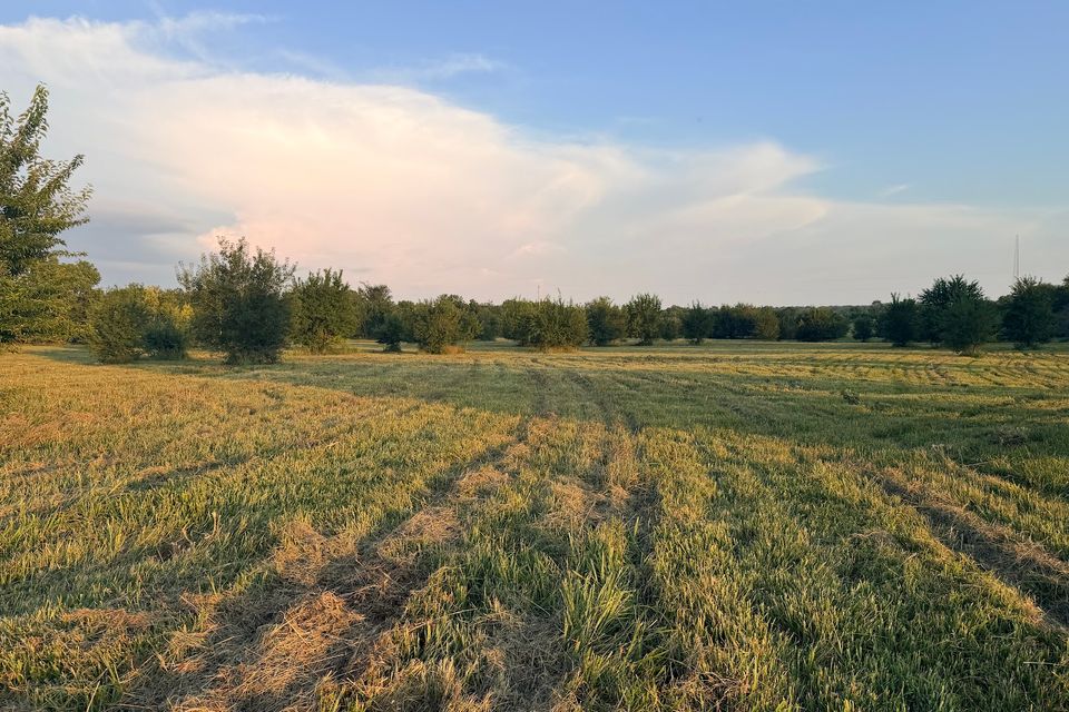 Went 6 open field looking south to tower