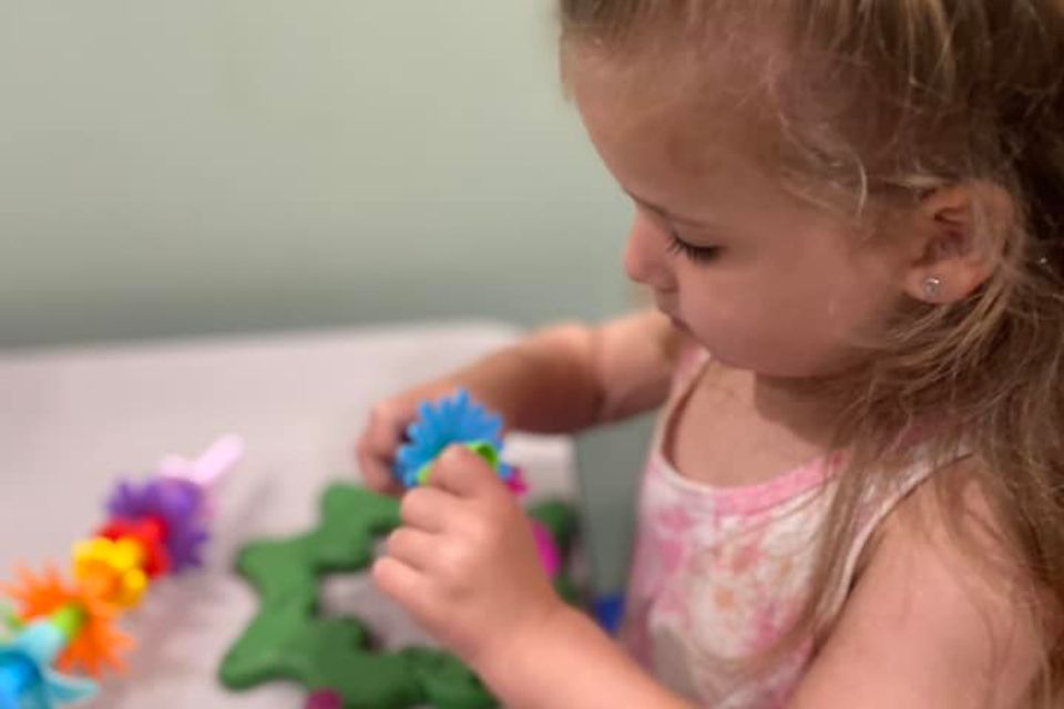 Butterfly meadow facebook 1 girl crafts
