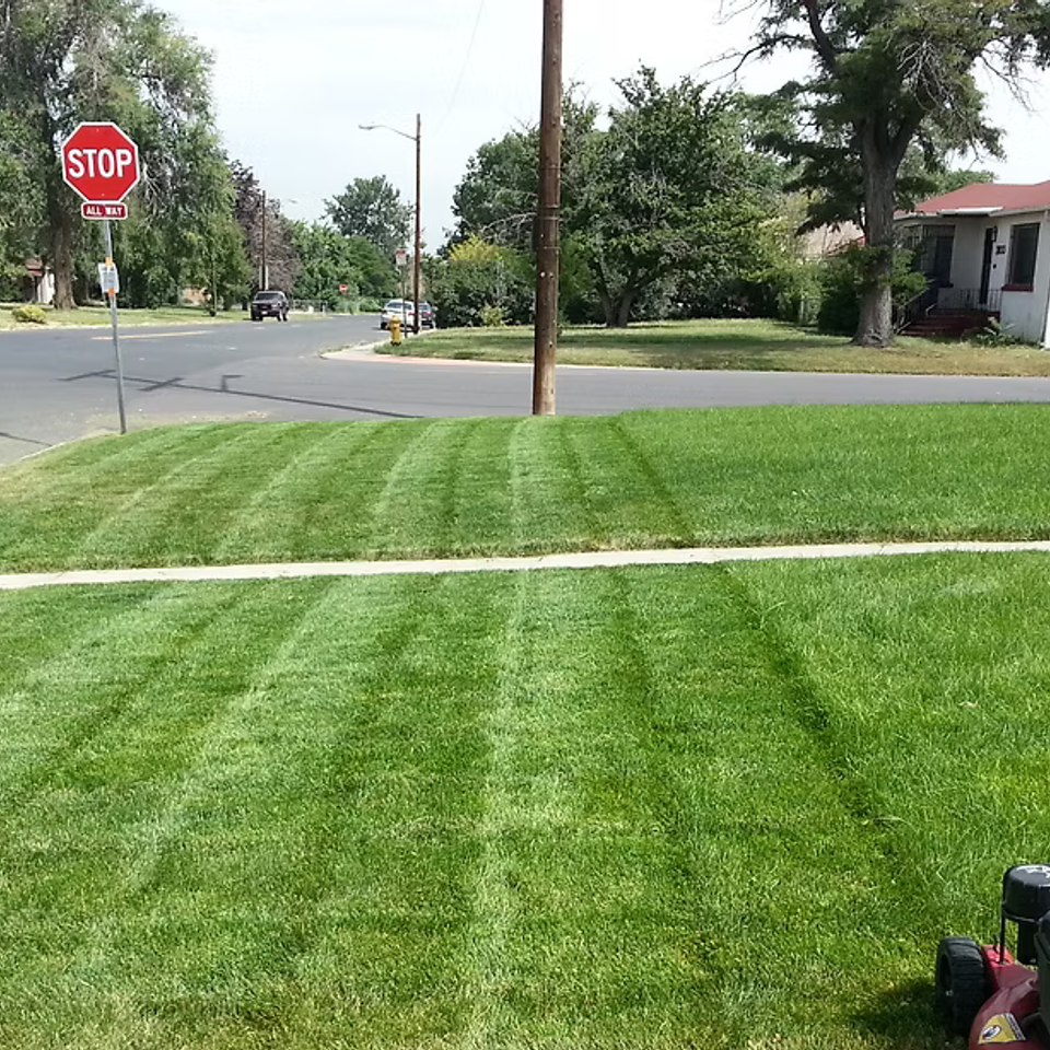 Aerating and fertilizer