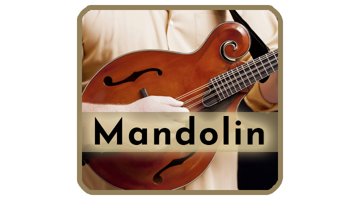 Mandolin