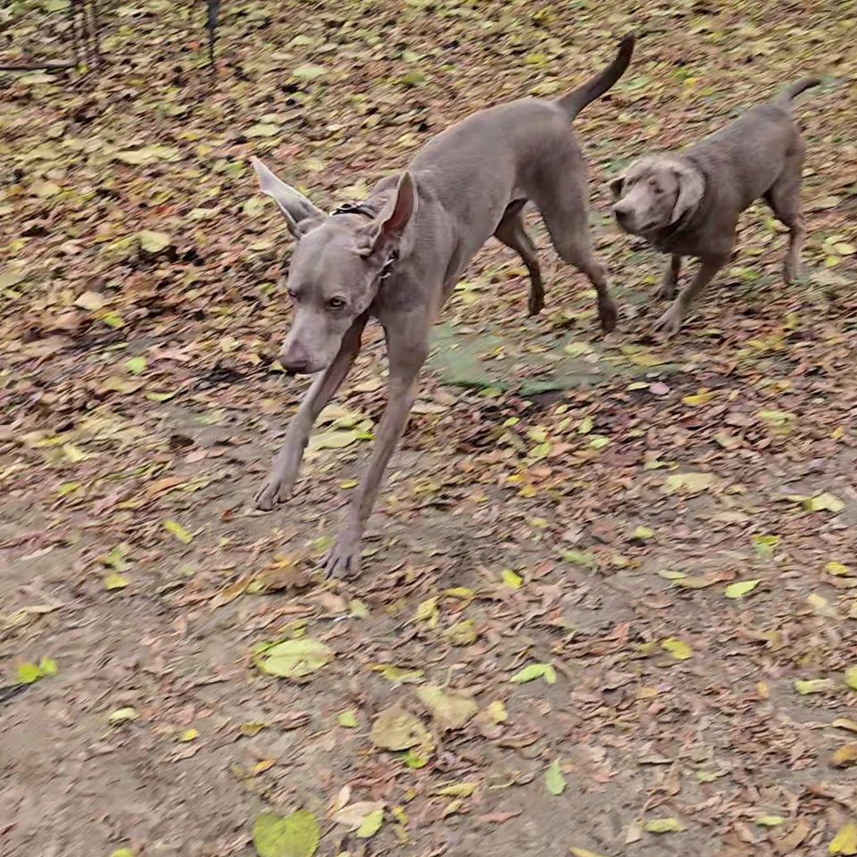 20251031 121317 exported 153265