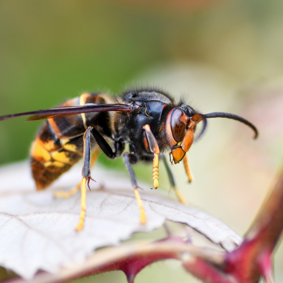 Screen shot 2026 03 03 at 2.23.42 pm