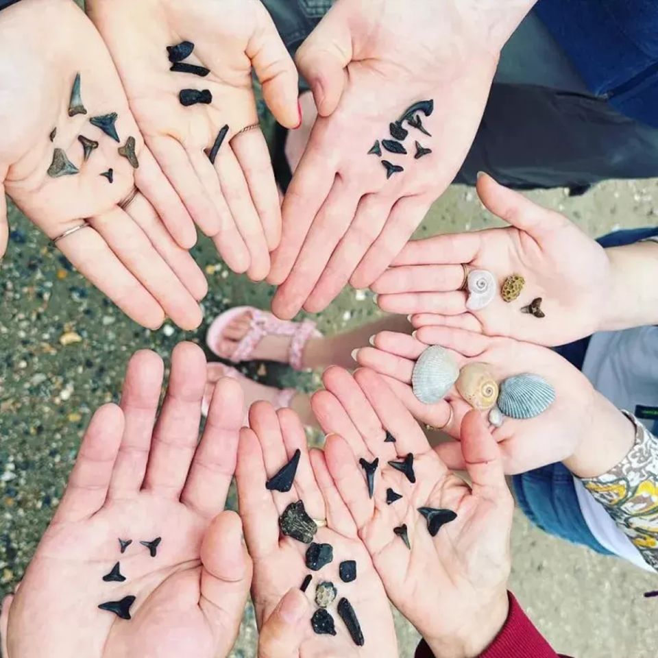 Image 13 69120e0a48b69