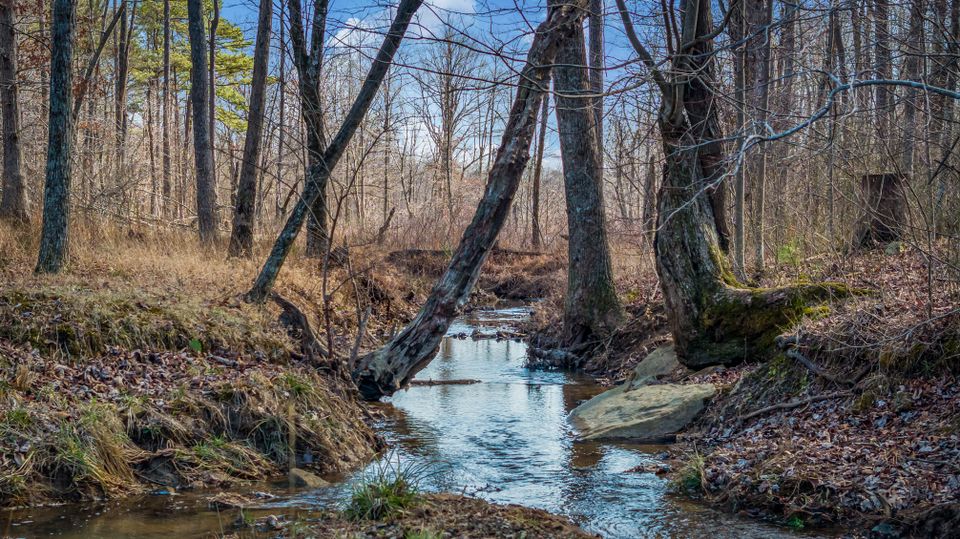 Stream view