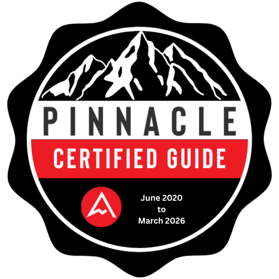 Pinnacle last badge