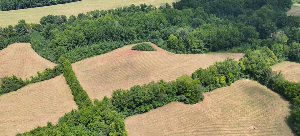 Dji 20260816124816 0004 v