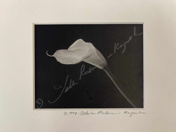 Cala lily platinum print