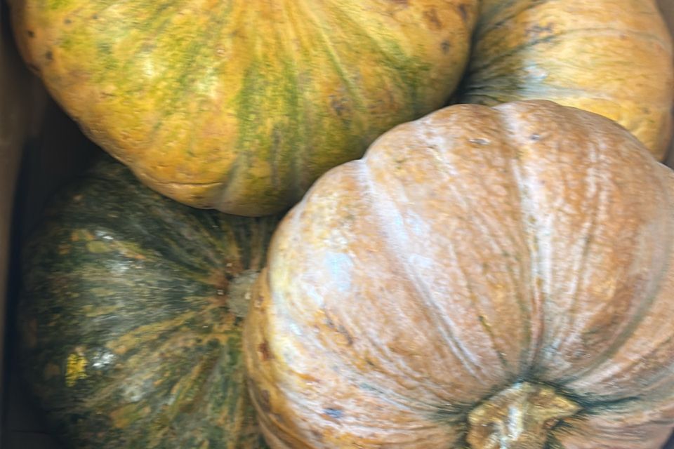 6b0dfa84  1773745431470