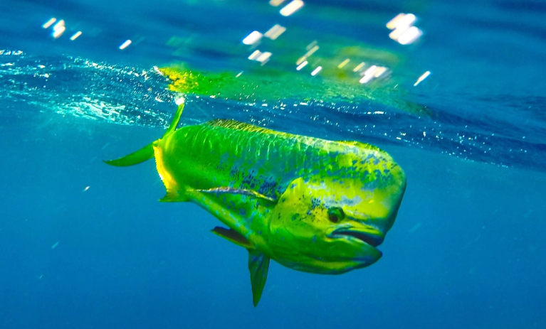 Screenshot 2026 02 24 at 10.19.58 am