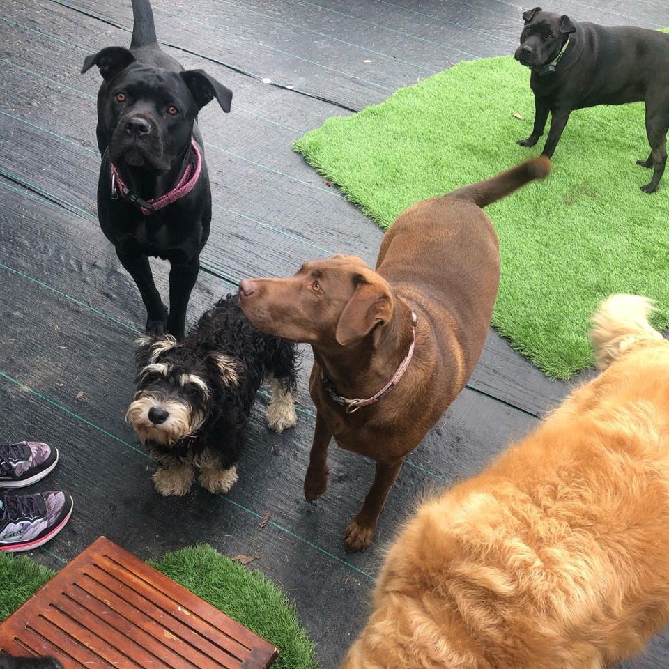 473080226 1033930028788595 6240807870590601068 n