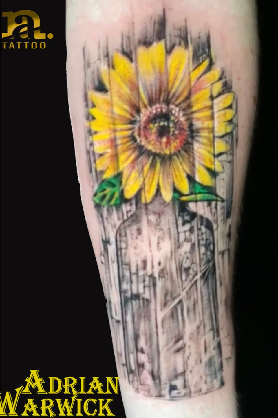 Adrian sunflower