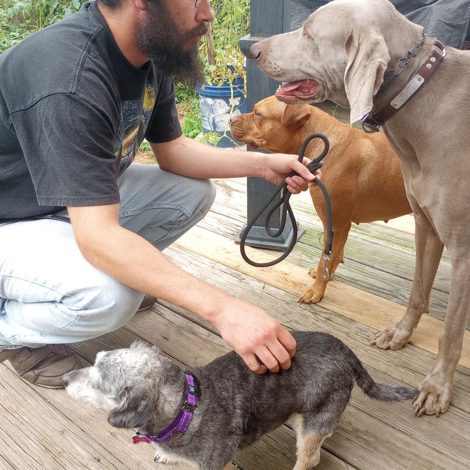 Img 20230819 110658469