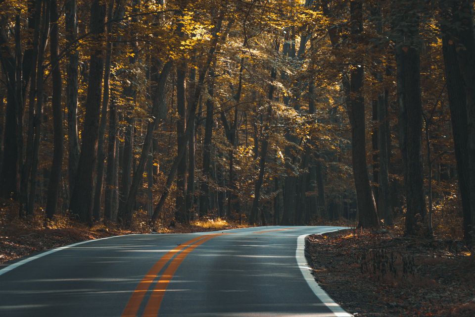 Asphalt g5e0290a89 1920