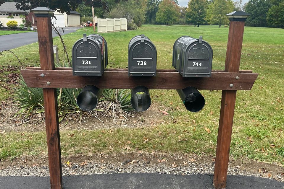 Img 3195