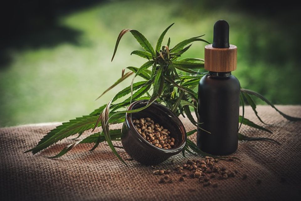 CBD oil bottle, cannabis plant, seeds in a bowl on wool fabric