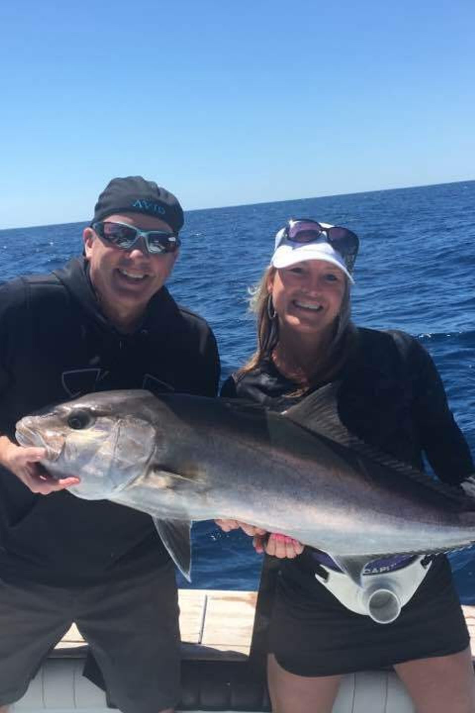 Amber jack