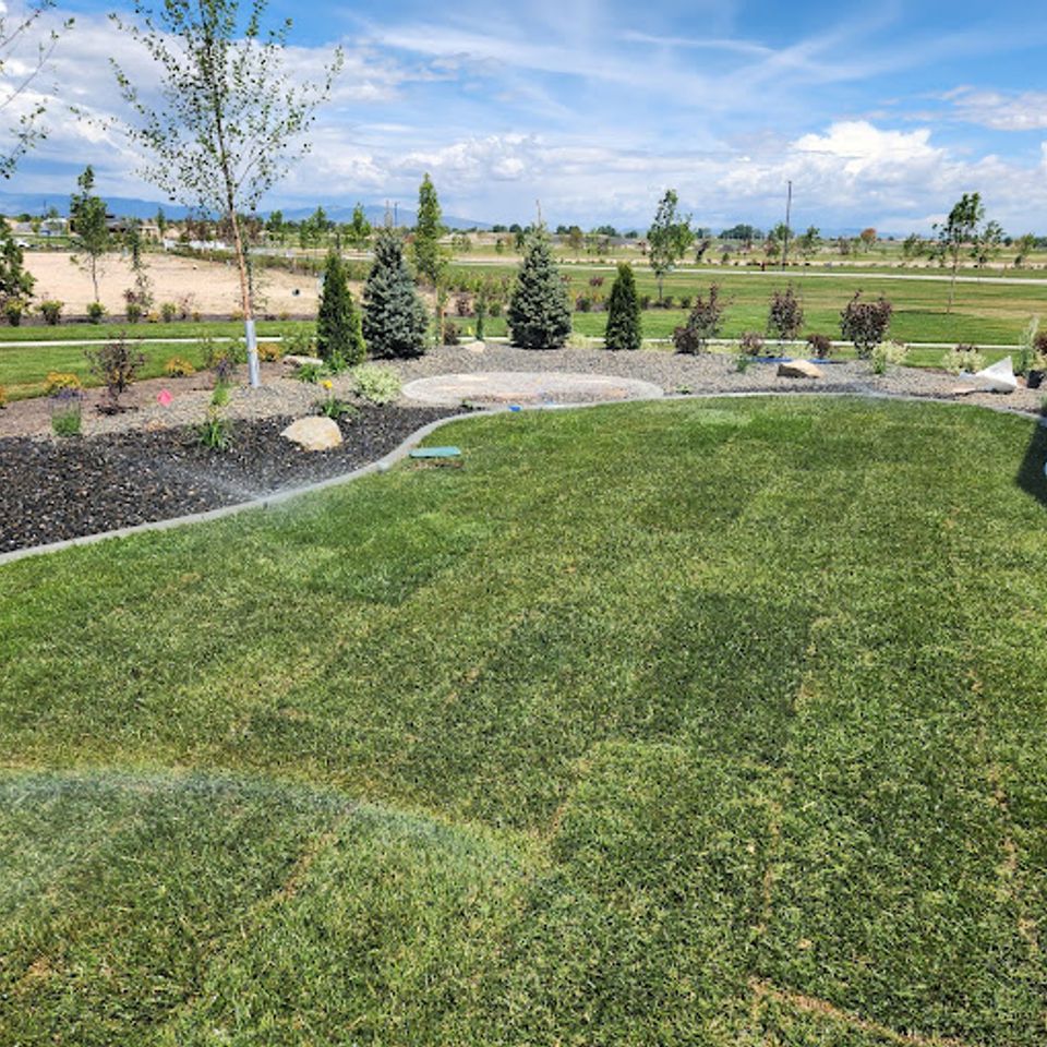 Grass care artistree