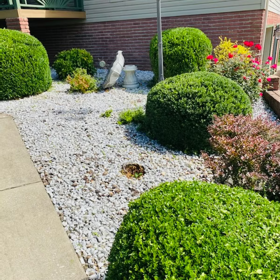 Mowing landscaping johnson city63