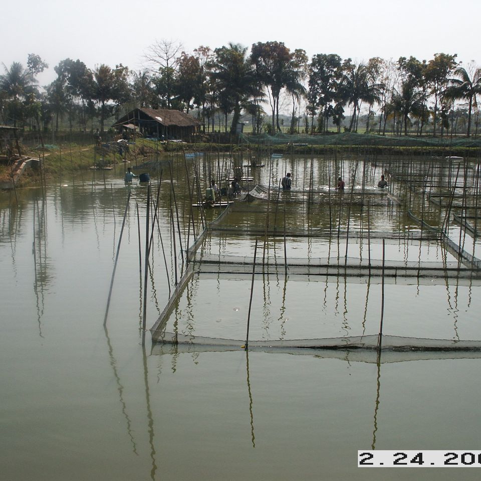 Pict0013