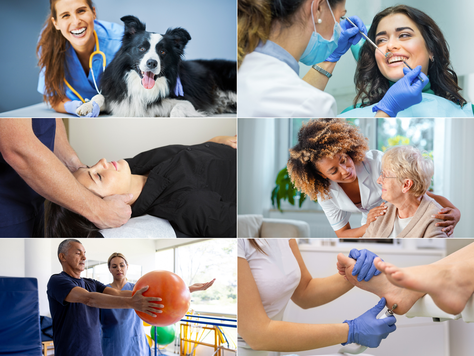 Professional website design for the health and wellness industry.