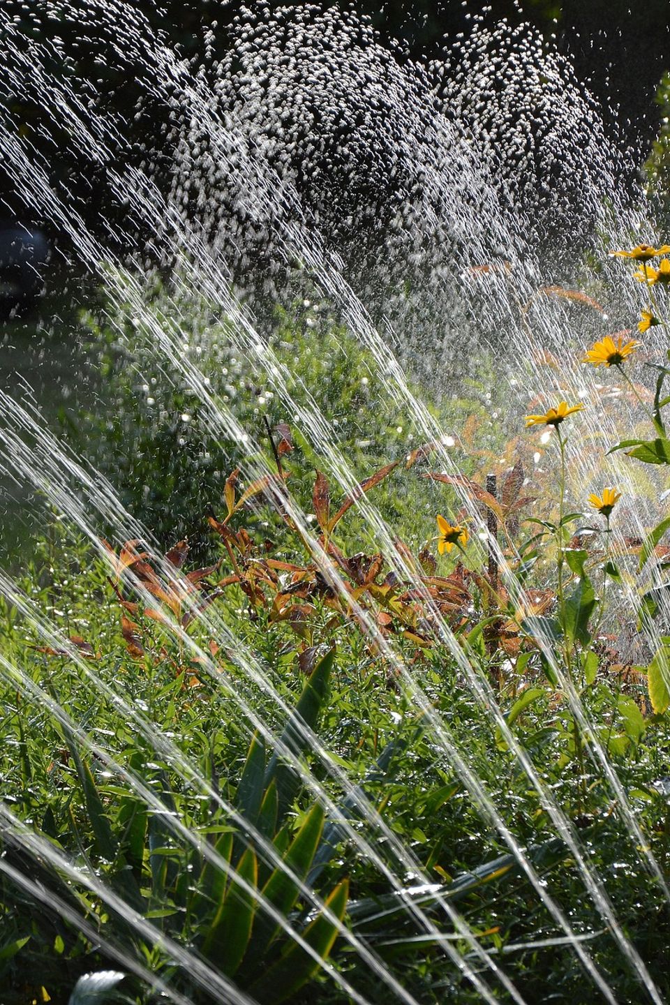 Irrigation Services and Repair