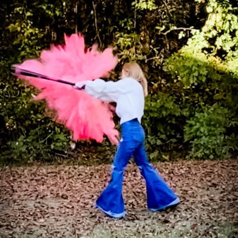 Gender baseball reveal