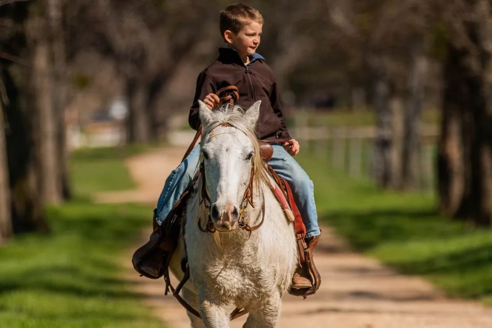 kids horse riding lessons