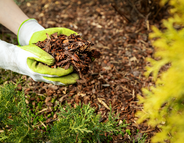 Soil  mulch   fertilizer