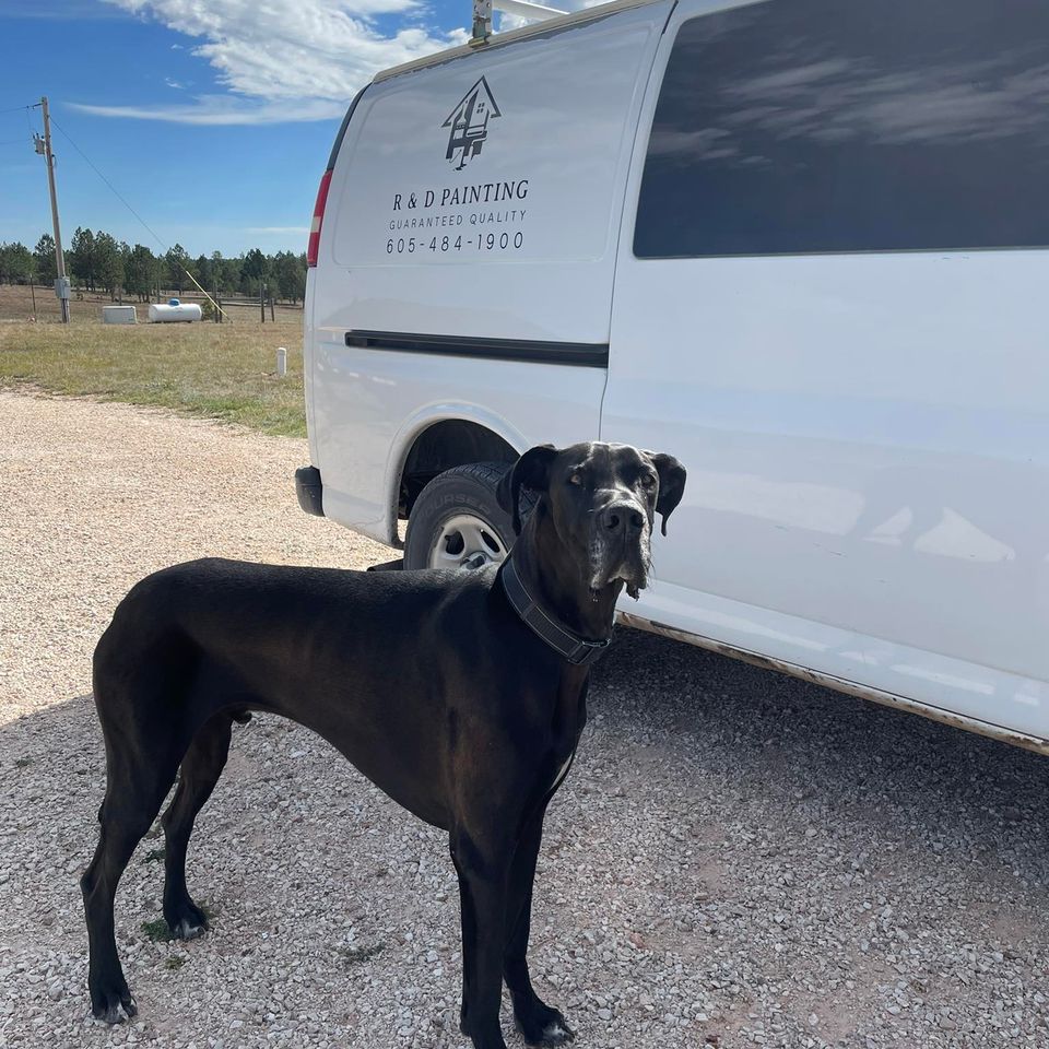 556103124 783847931236409 1600999943671230836 n