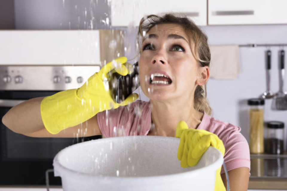 Tampa water damage restoration clean up 