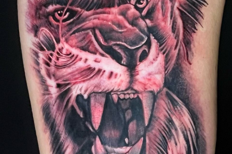 Josh lions roar
