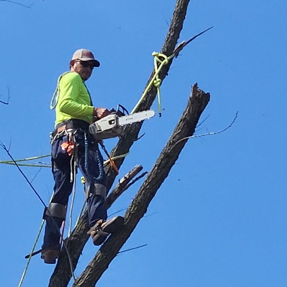 Screenshot 20221011 150205 photos